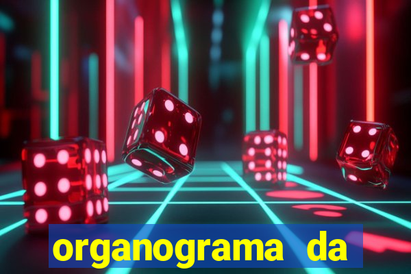 organograma da cacau show